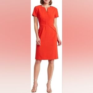 Focus by Shani Womens Poppy Modele Dress Size 6 NWT